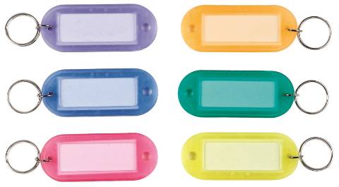 Foto de Llavero de identificación con portaetiqueta. Bolsa de 100 unidades (260127)