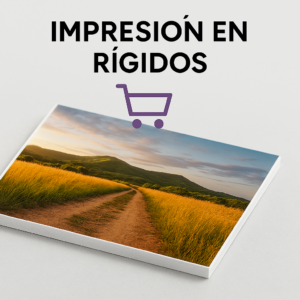 Rígidos