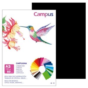 CARTULINA FORMATO DIN-A3 PTE/50 NEGRO