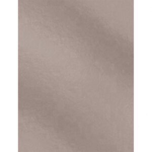 CARTULINA METALIZADA 50X65 PLATA