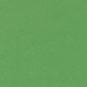 CARTULINA FORMATO DIN A4 PTE/ 50 VERDE BILLAR