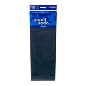 PAPEL SEDA B/10 H. NEGRO