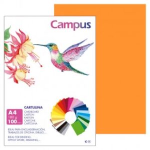CARTULINA FORMATO DIN A4 PTE/100 NARANJA