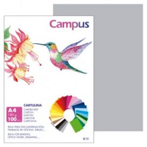 CARTULINA FORMATO DIN A4 PTE/100 GRIS