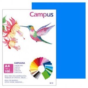 CARTULINA FORMATO DIN A4 PTE/100 AZUL MEDIA