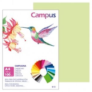 CARTULINA FORMATO DIN A4 PTE/100 VERDE MANZANA