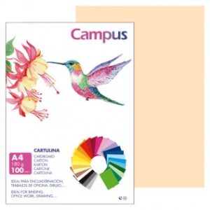 CARTULINA FORMATO DIN A4 PTE/100 CREMA