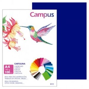 CARTULINA FORMATO DIN A4 PTE/100 AZUL OSCURA