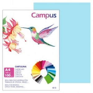 CARTULINA FORMATO DIN A4 PTE/100 AZUL CLARA