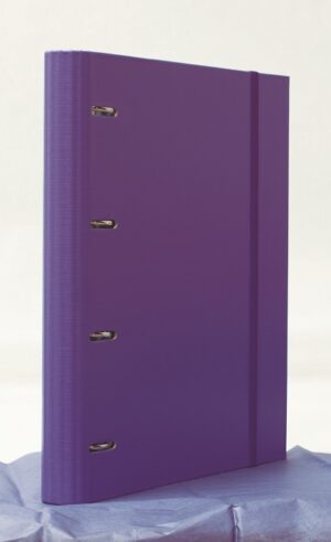 CARPETA FORR.A4 4A.25 C/REC.CAMPUS VIOLETA
