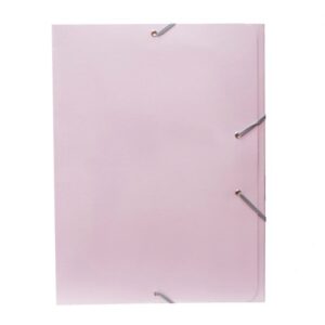CARP.CAR.A4+ CAMPUS BRILLO 600gr SOL.ROSA