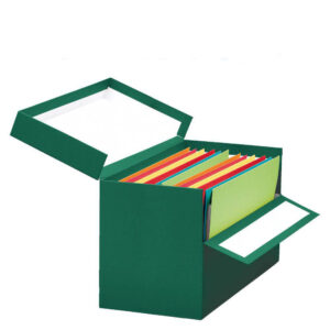CAJA TRANSFERENCIA VERDE FOLIO DOBLE ANCHO