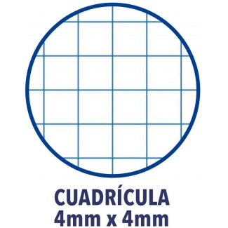 RECAMB.A4 4A.90gr.100h OXFORD CUADR 4X4 - Imagen 2