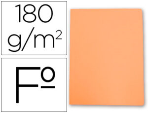 SUBCARPETA FOLIO PTE/ 10 NARANJA