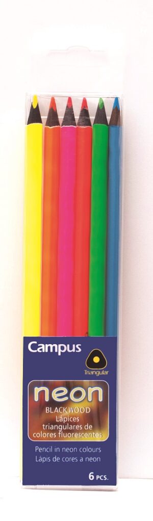 PINTURA LAPIZ CAMPUS NEON 6 Colores