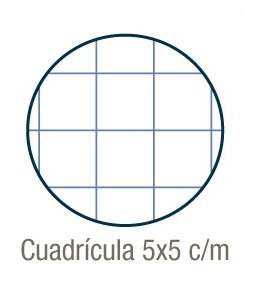 RECAMB.A4 4A.90gr 100h CAMPUS CUADR 5x5 ROJO - Imagen 2