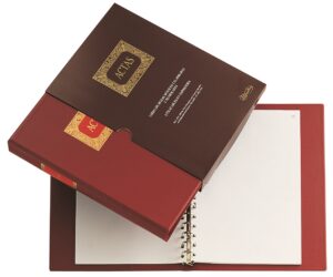 LIBRO CONT.Fº 100H. ACTAS MOVILES CARP.15a.