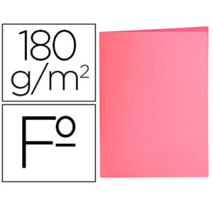 SUBCARPETA FOLIO PTE/ 10 ROSA