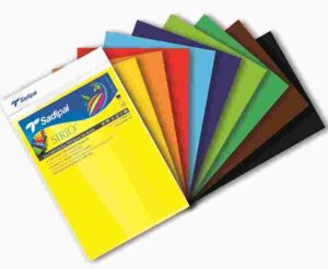 PTE/10 CARTULINA FORMATO DIN-A3 SURT.FUERTES