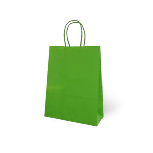 BOLSA REGALO PAPEL100gr.25x31x11 VERDE