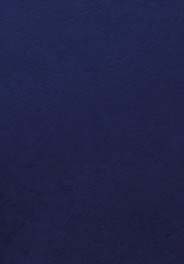 CUBIERTA ENC A4 250 CART.P/100 PIEL AZUL - Imagen 2