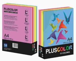 PAPEL A4 80gr.PTE/500 15 COLORES SURTIDOS