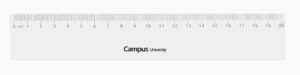 REGLA PLASTICO CAMPUS 20 CM.TRANSP.CON FUNDA