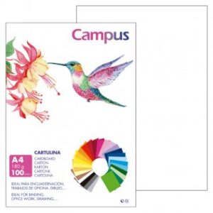 CARTULINA FORMATO DIN A4 PTE/100 BLANCA