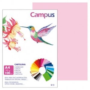 CARTULINA FORMATO DIN A4 PTE/100 ROSA