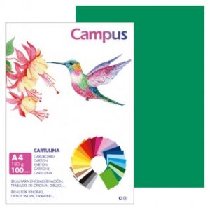 CARTULINA FORMATO DIN A4 PTE/100 VERDE OSCURA